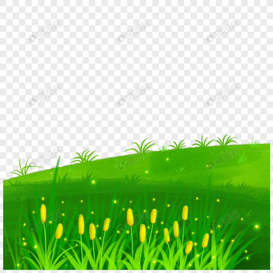 草地植物图片