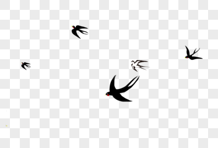 飞翔的燕子群图片