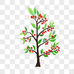 枸杞树图片