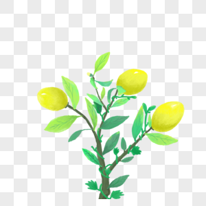 茶油松茸图片_茶油松茸素材图片大全_摄图网