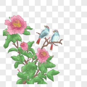 牡丹花枝上的小鸟高清图片