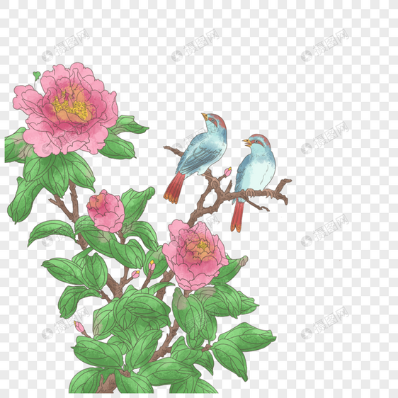 牡丹花枝上的小鸟图片