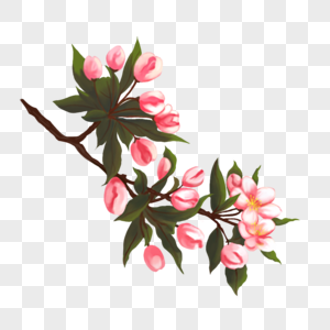 春天海棠花元素素材图片