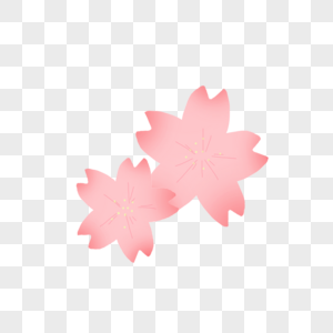 樱花日本植物花卉春天赏樱小插画图片