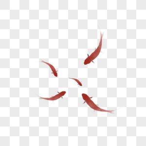 手绘中国风水墨红色锦鲤图片