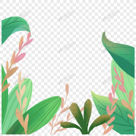 手绘植物边框图片