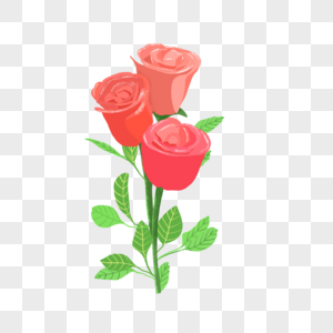 手绘玫瑰手绘粉色玫瑰蔷薇科高清图片