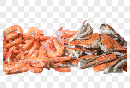 虾和螃蟹图片