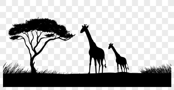 长颈鹿剪影黑色树木高清图片
