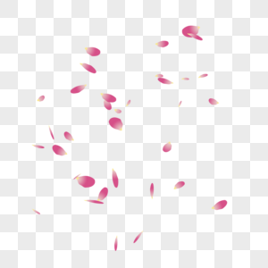 漂浮粉色花瓣图片