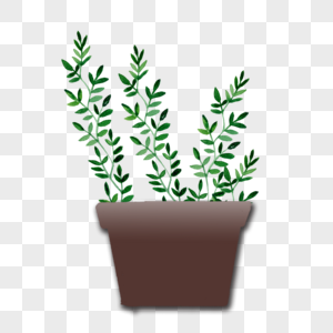 小清新绿色植物盆栽图片