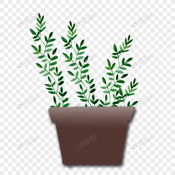 小清新绿色植物盆栽图片