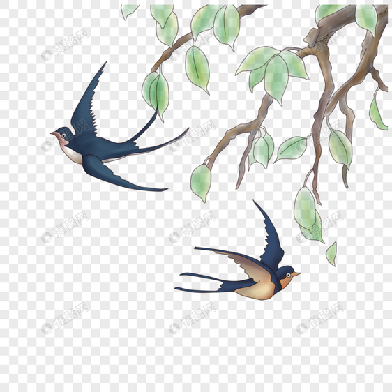 树和燕子图片