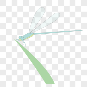 ps素材蜻蜓图片