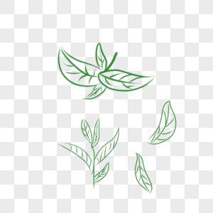 茶叶叶子手绘线描高清图片