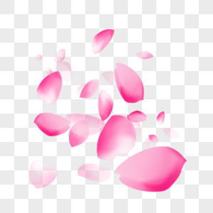 粉红色花瓣图片
