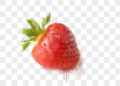 草莓饱满的草莓插图高清图片