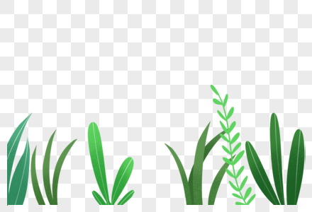 春天小草的图片