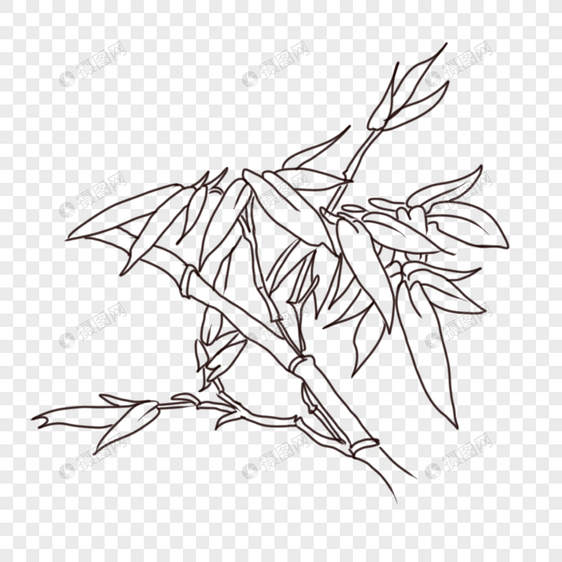 竹子线描图片