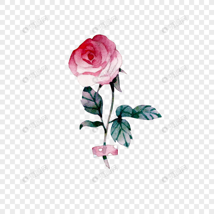 水彩玫瑰花元素素材下载 正版素材 摄图网