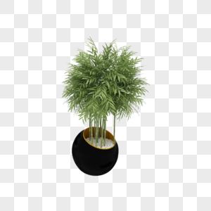植物高清养眼绿色高清图片