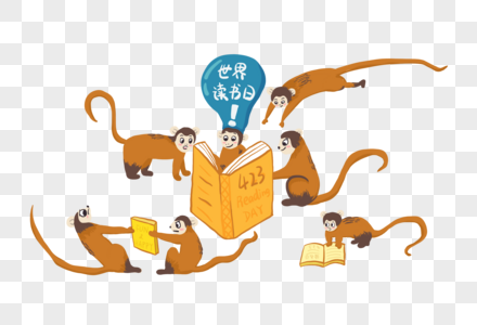 看书的猴子看书的猴子高清图片
