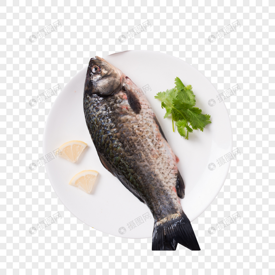 新鲜美味的鱼图片