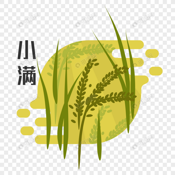 小满节气插画元素图片