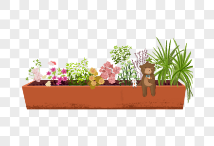 花卉植物植物兔子素材高清图片