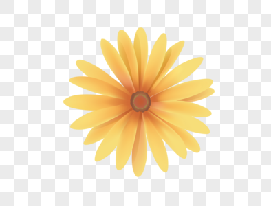 黄色菊花矢量图元素图片