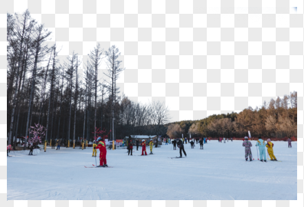 公园里滑雪的人图片