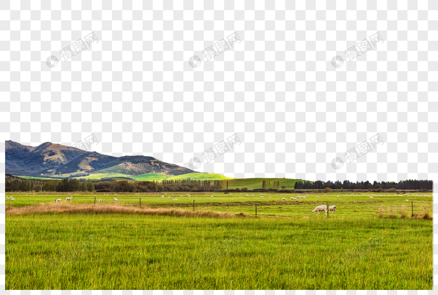 新西兰牧场风光图片