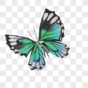 蝶恋花图片_蝶恋花素材_蝶恋花高清图片_摄图网图片下载