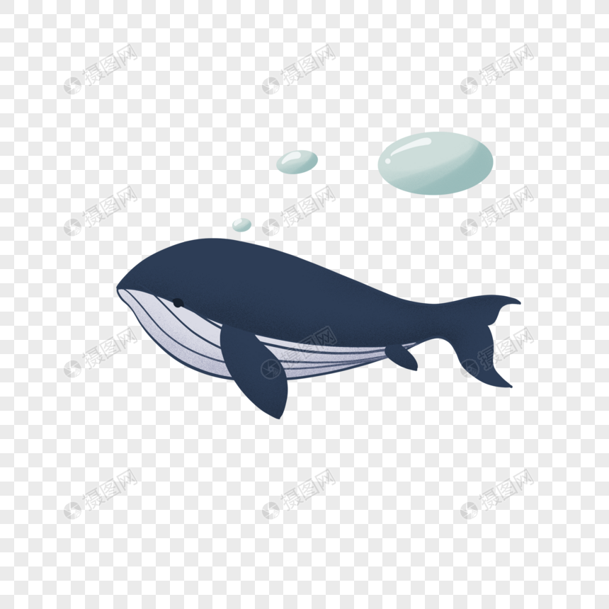 手绘卡通小清新可爱海洋日海底生物蓝鲸鲸鱼蓝色创意元素免扣元素素材下载 正版素材 摄图网