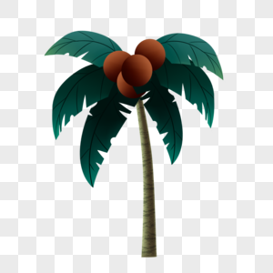 植物椰子树图片