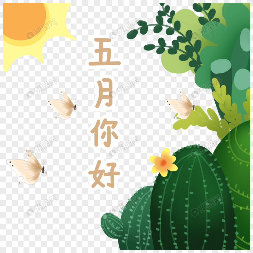 五月你好植物插画图片