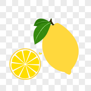 柠檬矢量插画图片