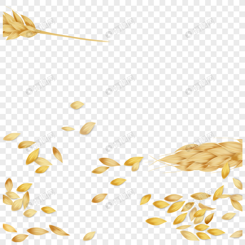 麦穗粒边框图片