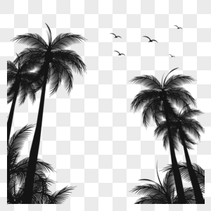 椰子树剪影边框高清图片