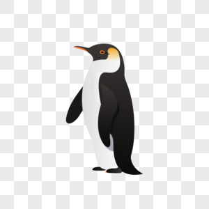 南极企鹅矢量插画图片
