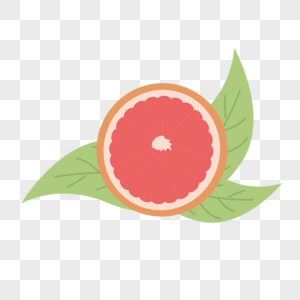 柚子免抠素材图片