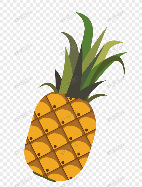 菠萝凤梨矢量图图片