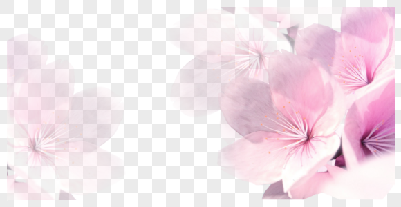 花朵背景花纹贺卡高清图片