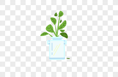 玻璃瓶里的绿色植物图片