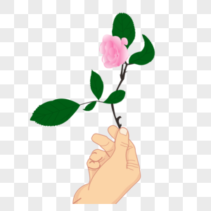 手献一只粉色玫瑰花免抠素材图片