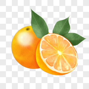 卡通水果橙子插图高清图片