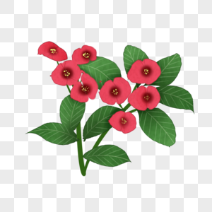 卡通植物红色的花插图图片
