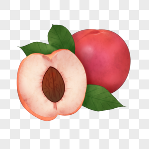 卡通实物桃子插图图片