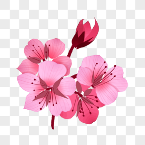 创意粉色樱花插图图片