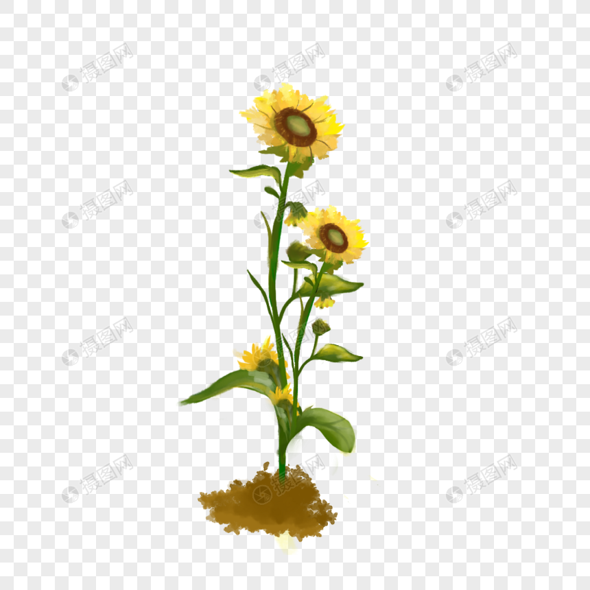 向日葵夏天积极插画水彩花朵元素素材下载 正版素材 摄图网